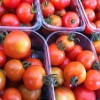 'Cherry' Tomatoes