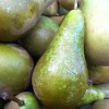 'Conference' Pears