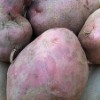 'Desiree' Potatoes
